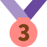 3rd Prize Medal